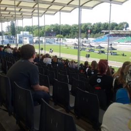 Inklusionstage der Islandpferde- WM