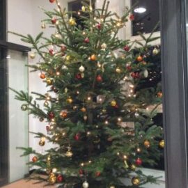 Fröhliche Weihnachten 2023 Fröhliche Weihnachten 2023